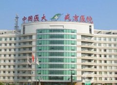 中国医科大学附属盛京医院整形美容外科